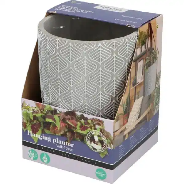 Buzzy house plants hangende plantpot met coleus z - Direct kopen