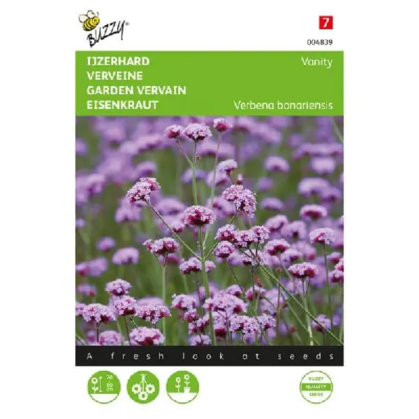 Buzzy® Verbena, IJzerhard Vanity - Uitverkoop