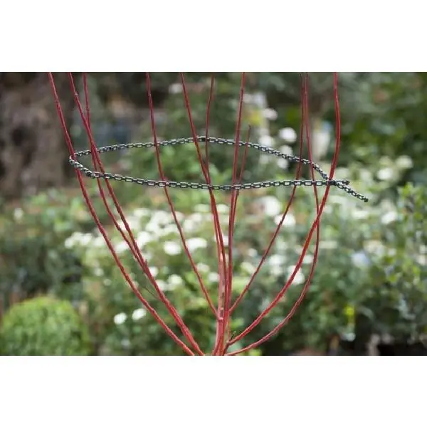 HEESTERBAND 54CM 6040435 - Prijs verlaagd