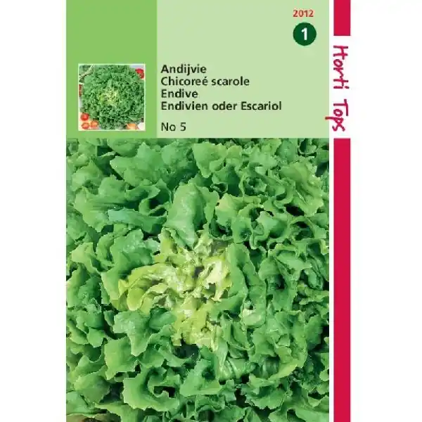 Nieuwe release | HT ANDIJVIE NUMMER VIJF 2