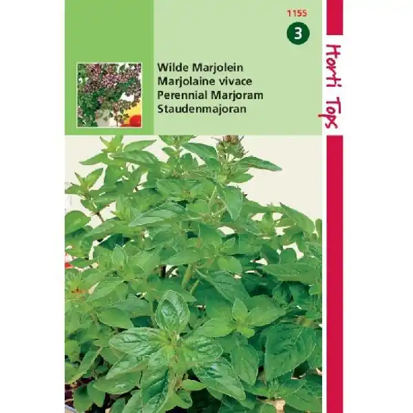 HT MARJOLEIN – OREGANO (ROSEBLOEIEND) | Beste prijs