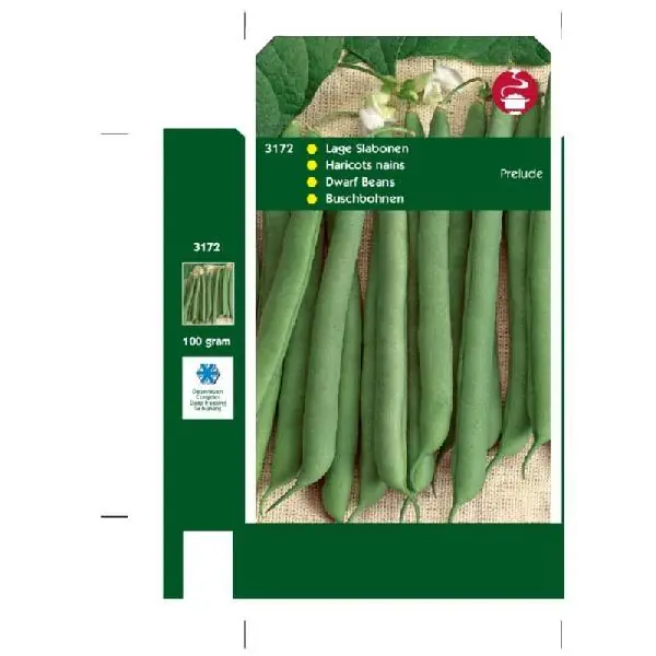 STAMSLABONEN PRELUDE, ZONDER DRAAD, 100G | Voordeelprijs