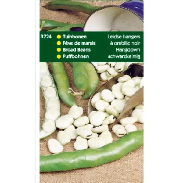 Aanbieding | TUINBONEN LEIDSE HANGERS, 250G