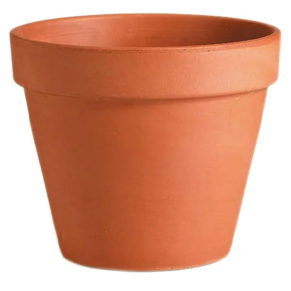 Vaso 01090RZ D13.1H11.3 - Direct beschikbaar