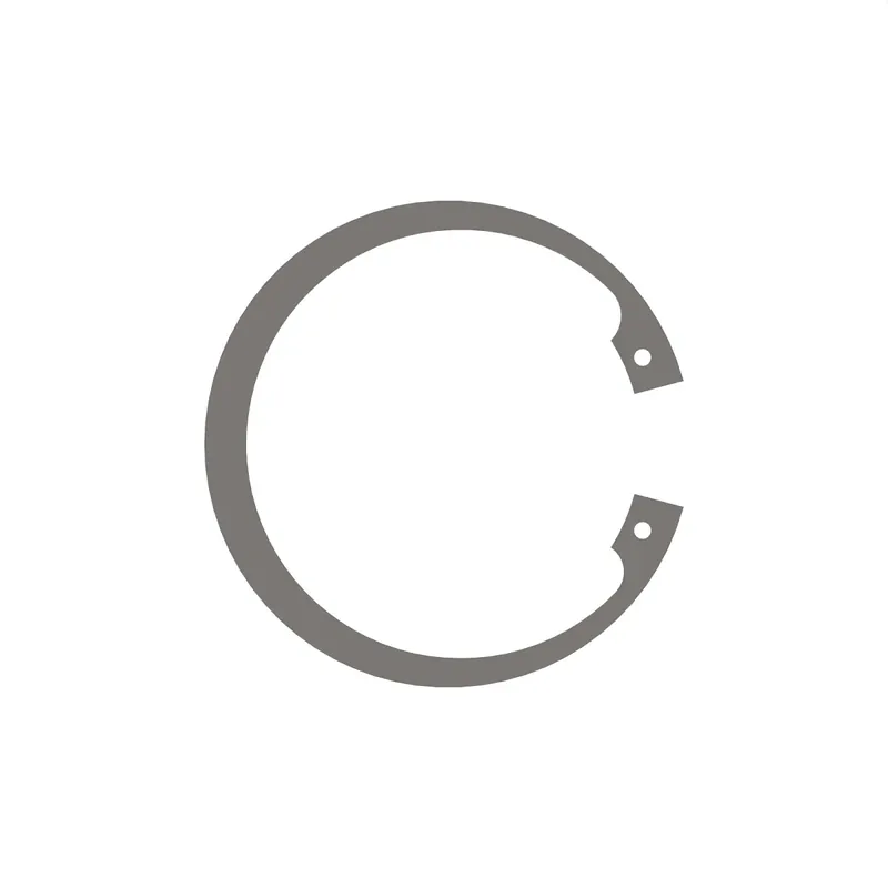 Bespaar meer | John Deere CE36173 Borgring - Kraakman Parts